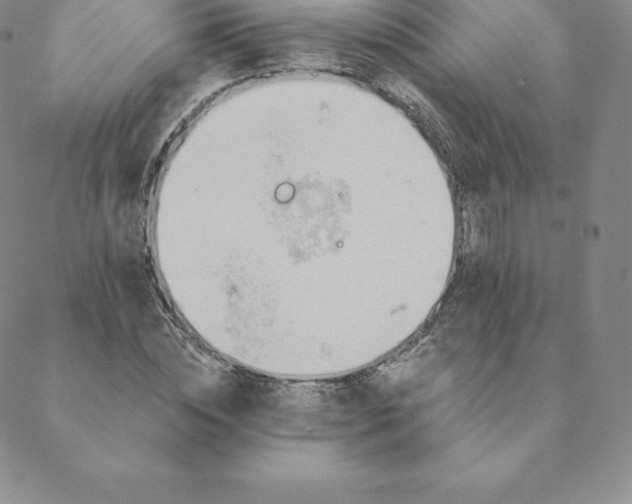 X0000088650828200706081635