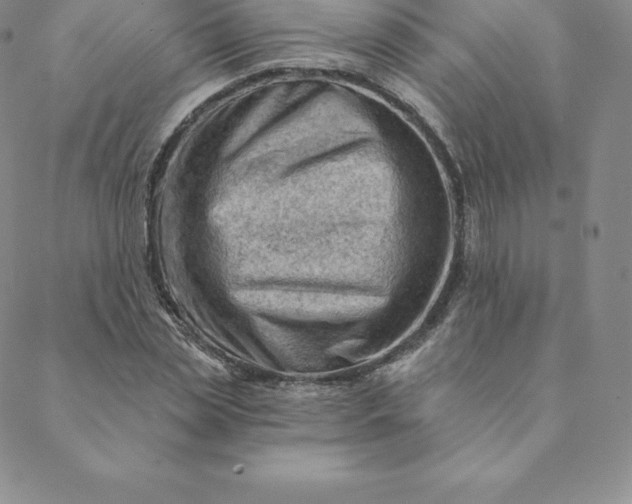 X0000088650829200706081635