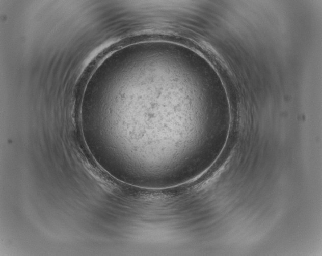 X0000088650830200706081635