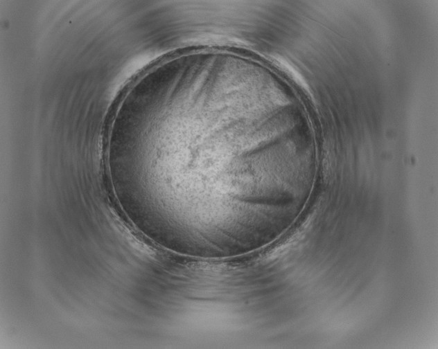 X0000088650831200706081635