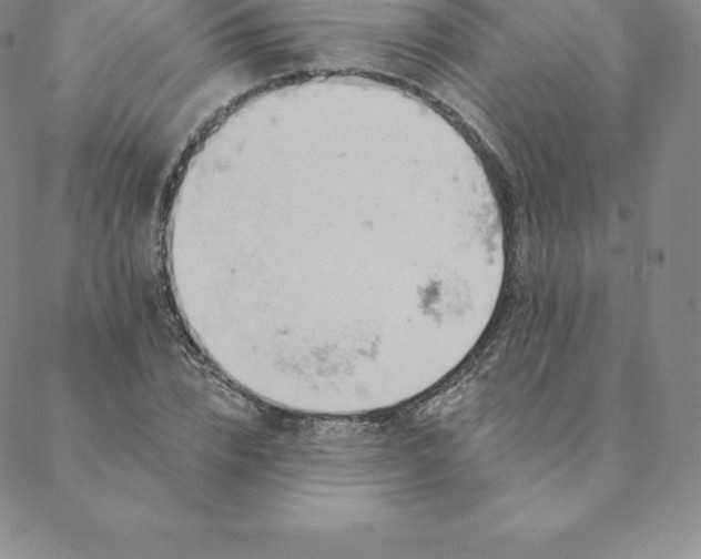 X0000088650832200706081635