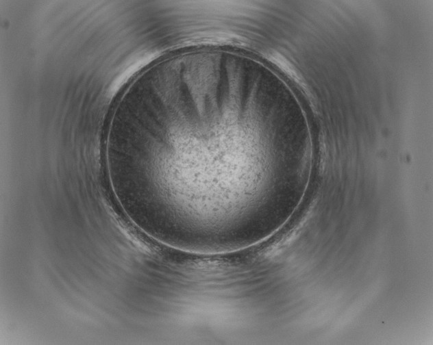 X0000088650834200706081635