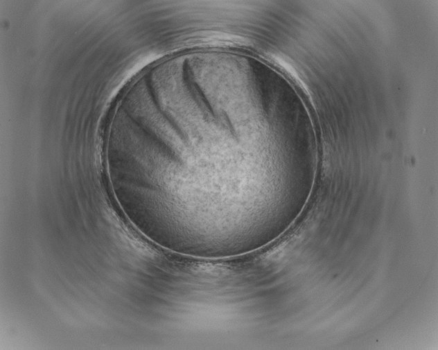 X0000088650835200706081635