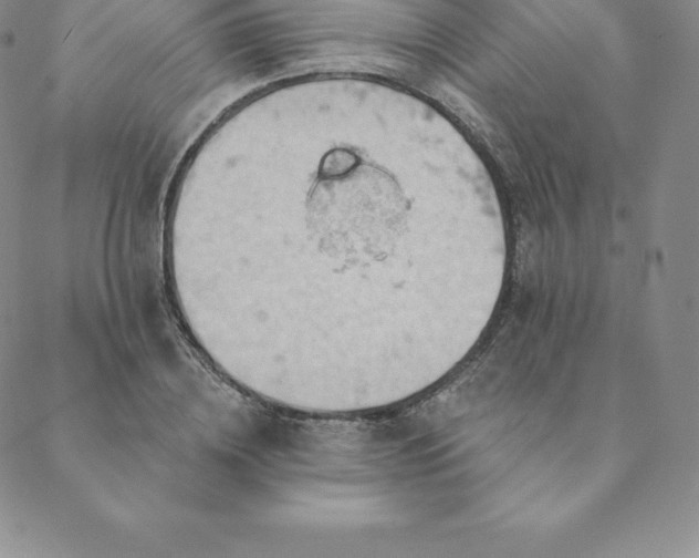 X0000088650836200706081635