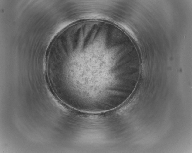 X0000088650839200706081635