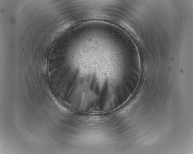 X0000088650841200706081635