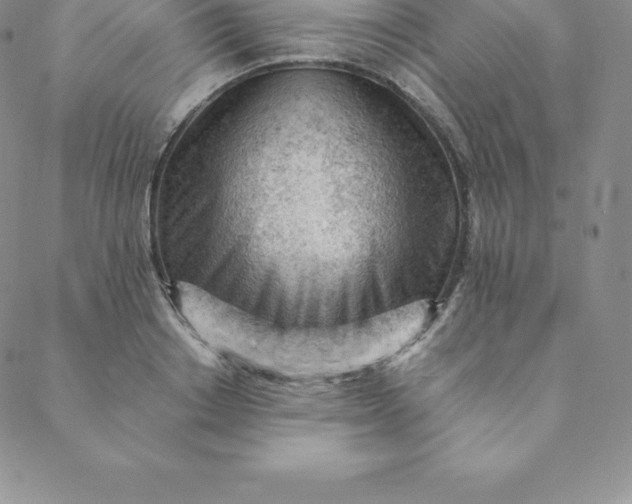 X0000088650842200706081635