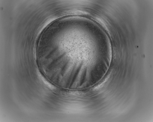 X0000088650843200706081635