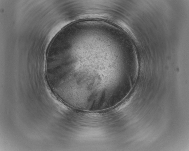 X0000088650844200706081635