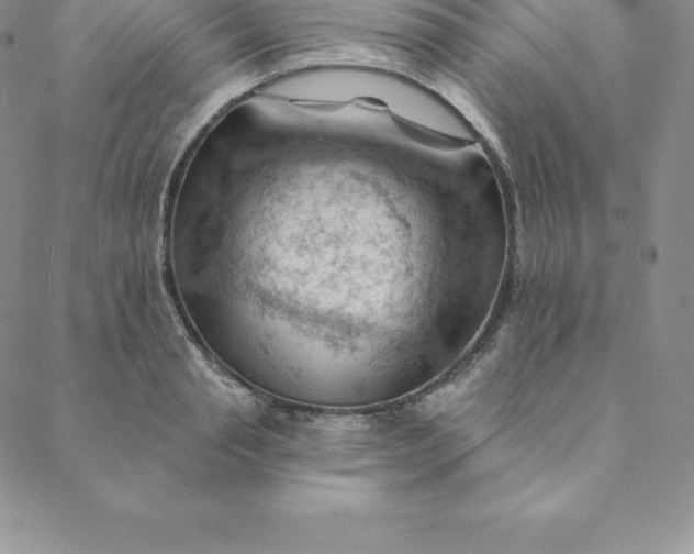 X0000088650845200706081636