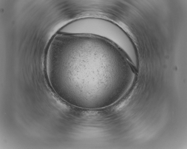 X0000088650846200706081636