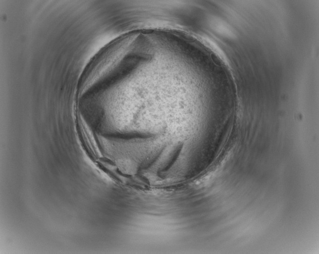 X0000088650847200706081636