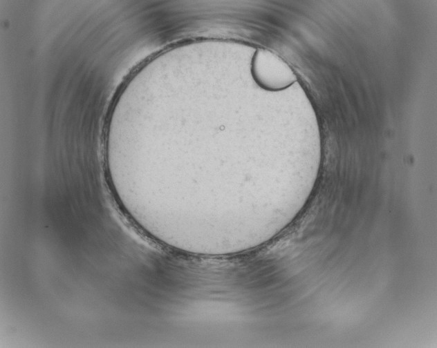 X0000088650848200706081636