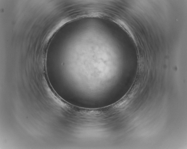 X0000088650851200706081636