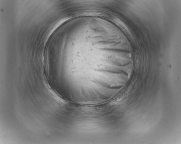 X0000088650852200706081636