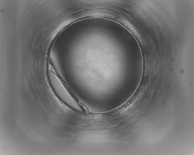 X0000088650853200706081636