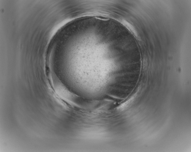 X0000088650854200706081636