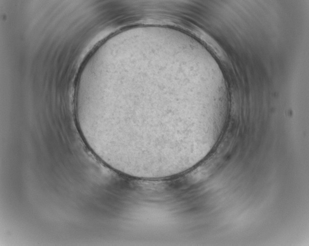 X0000088650856200706081636