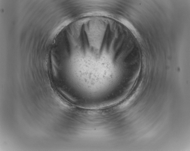 X0000088650857200706081636