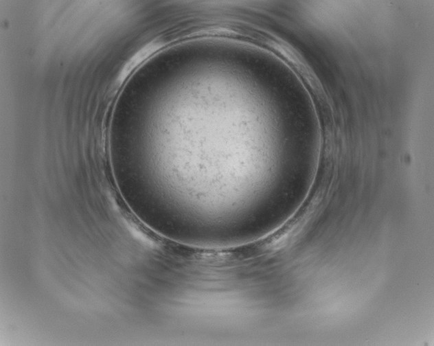 X0000088650858200706081636