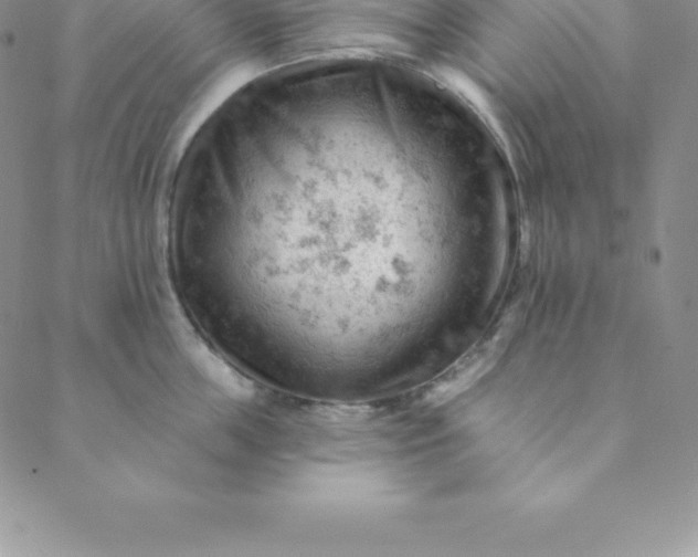 X0000088650859200706081636