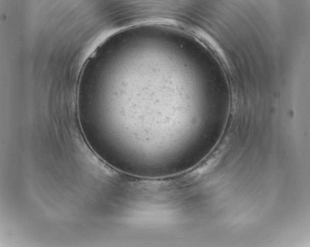 X0000088650860200706081636