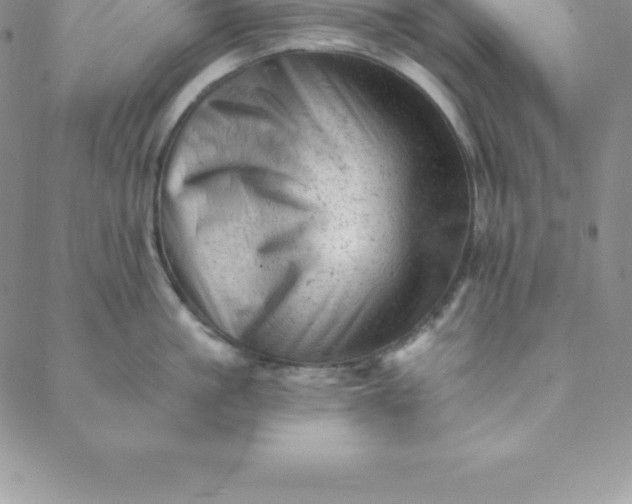 X0000088650861200706081636