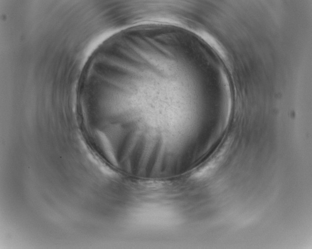 X0000088650862200706081636