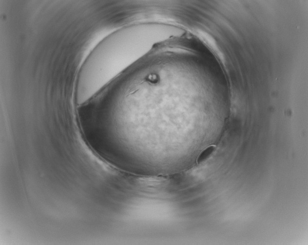 X0000088650863200706081636