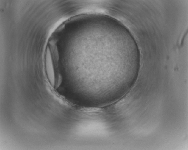 X0000088650864200706081636