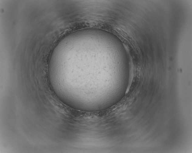 X0000088650865200706081635