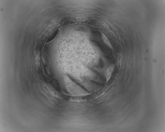 X0000088650866200706081635