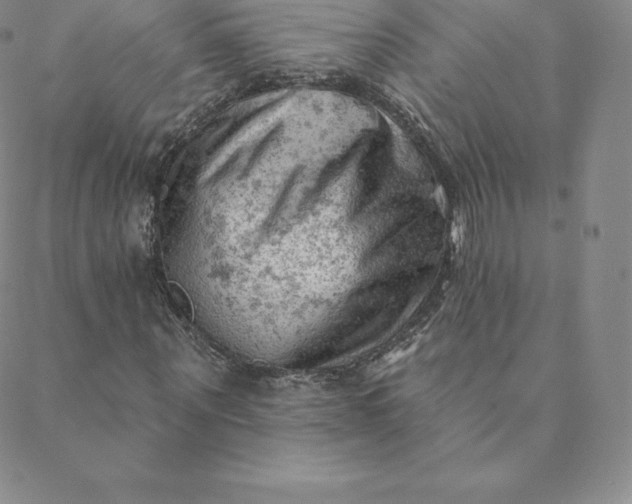 X0000088650867200706081635