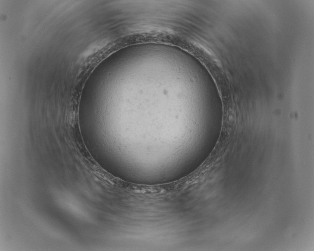 X0000088650869200706081635