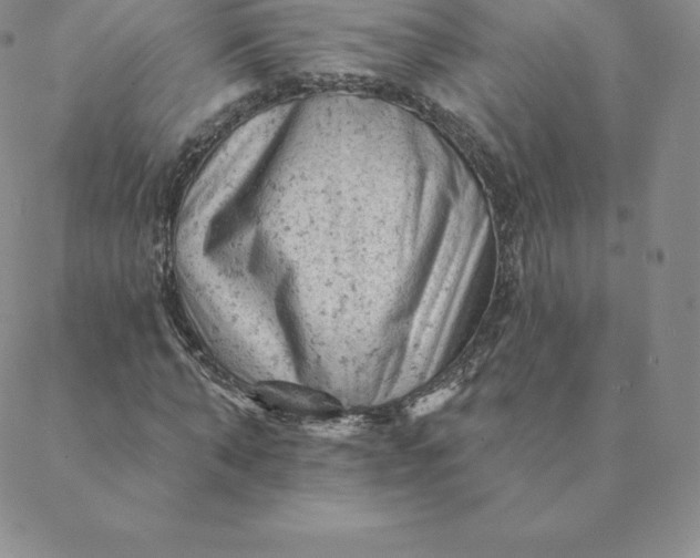 X0000088650870200706081635