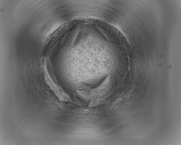 X0000088650871200706081635