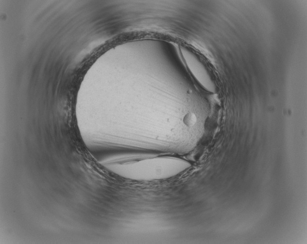 X0000088650872200706081635