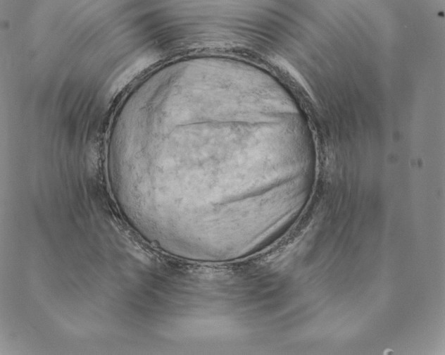 X0000088650874200706081635