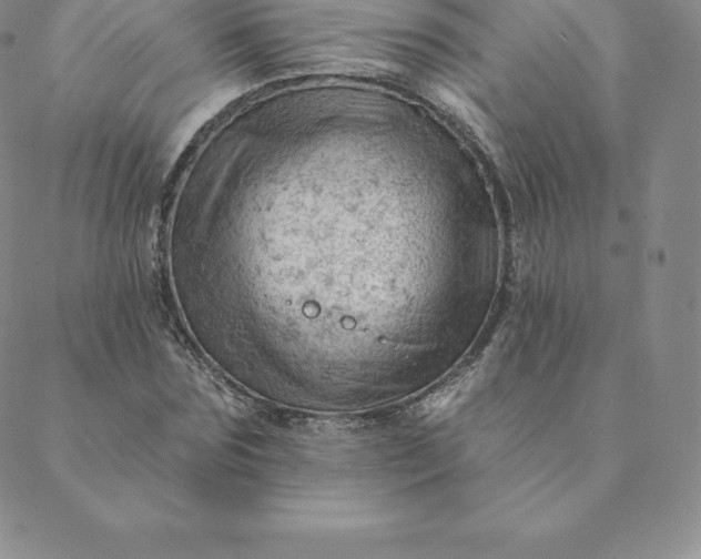 X0000088650875200706081635