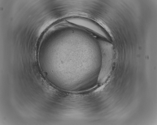 X0000088650877200706081635