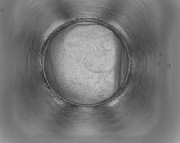 X0000088650878200706081635