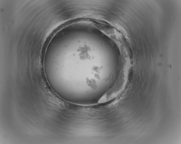 X0000088650880200706081635