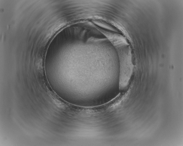 X0000088650881200706081635