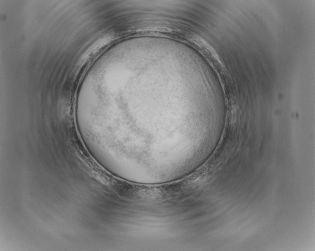 X0000088650882200706081635