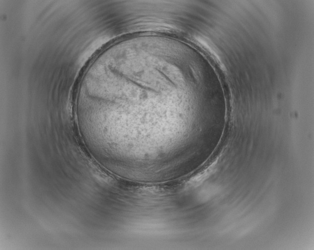 X0000088650883200706081635