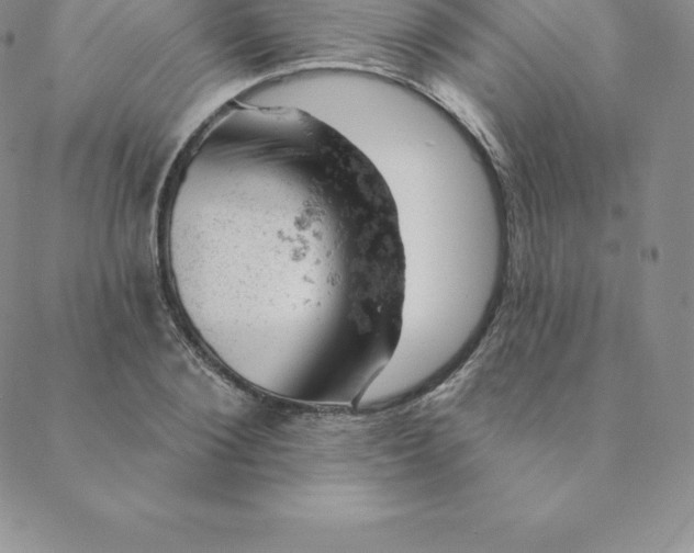 X0000088650884200706081635