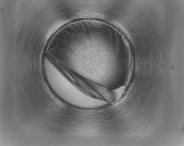 X0000088650885200706081635