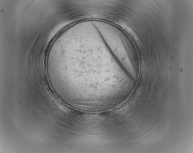 X0000088650886200706081635