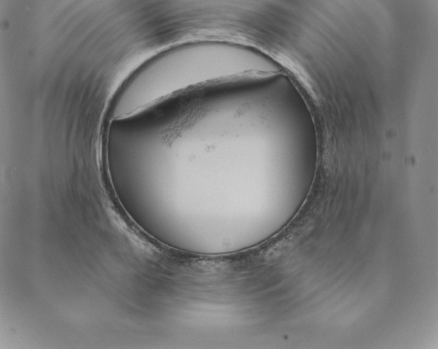 X0000088650888200706081635