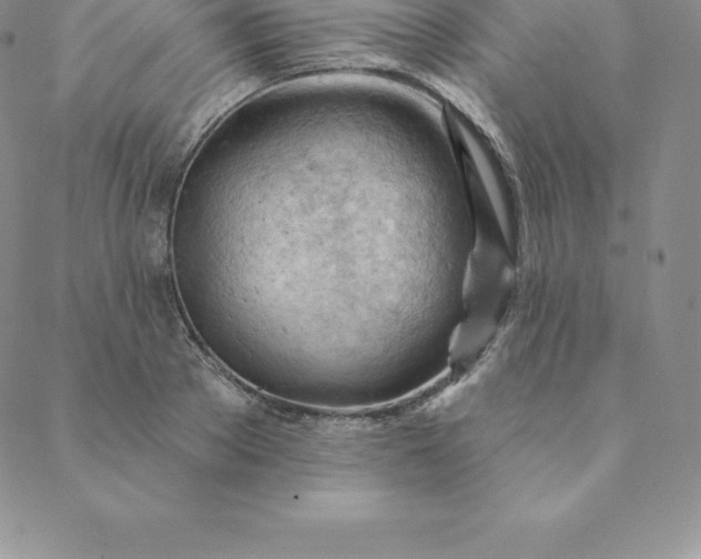 X0000088650889200706081635